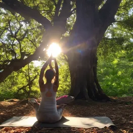 An image of a person practicing yoga in a serene natural setting, surrounded by trees, with the sunlight filtering through the leaves, highlighting their relaxed and focused expression.